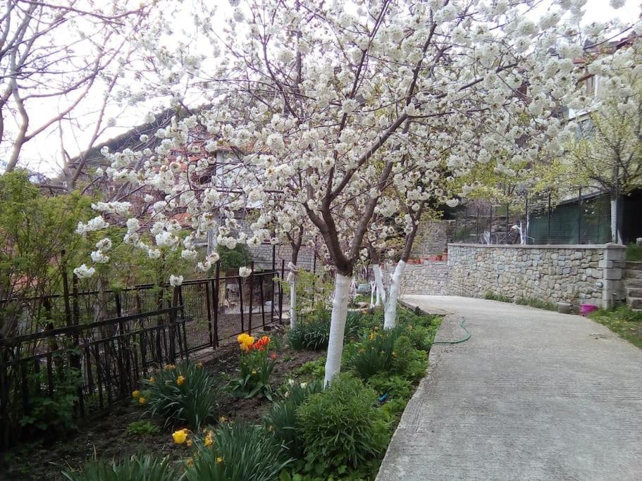 αρχοντικό ειρήνη - 4 * Metsovo