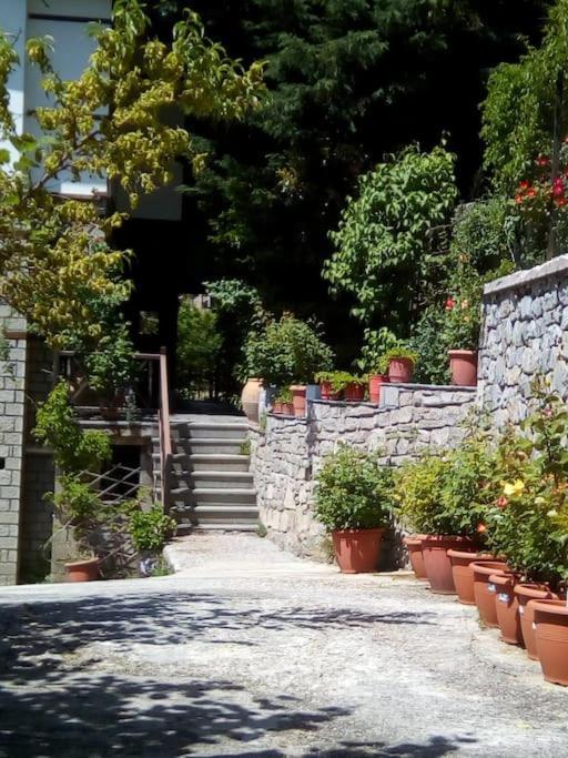 αρχοντικό ειρήνη - 4 Metsovo