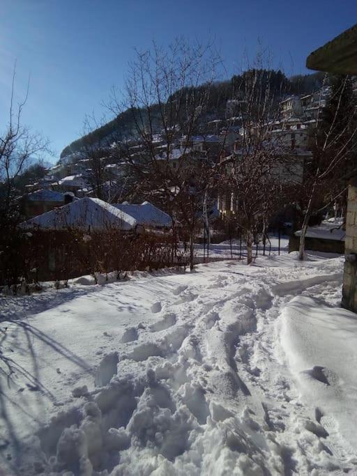 αρχοντικό ειρήνη - 4 Dom wakacyjny Metsovo