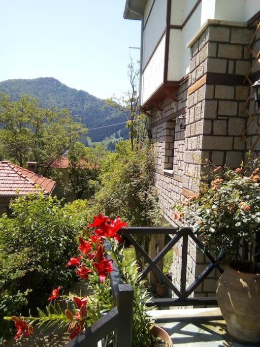 Dom wakacyjny αρχοντικό ειρήνη - 4